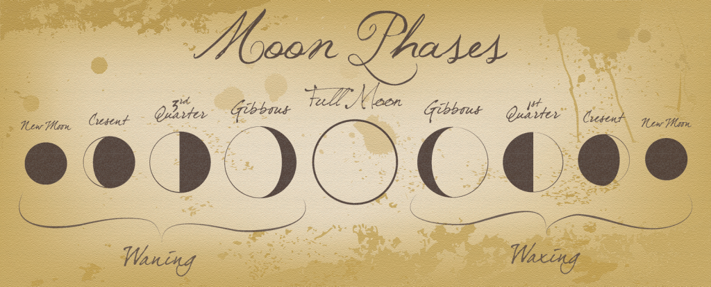 moon_phases_by_izzabell-d3inrqv