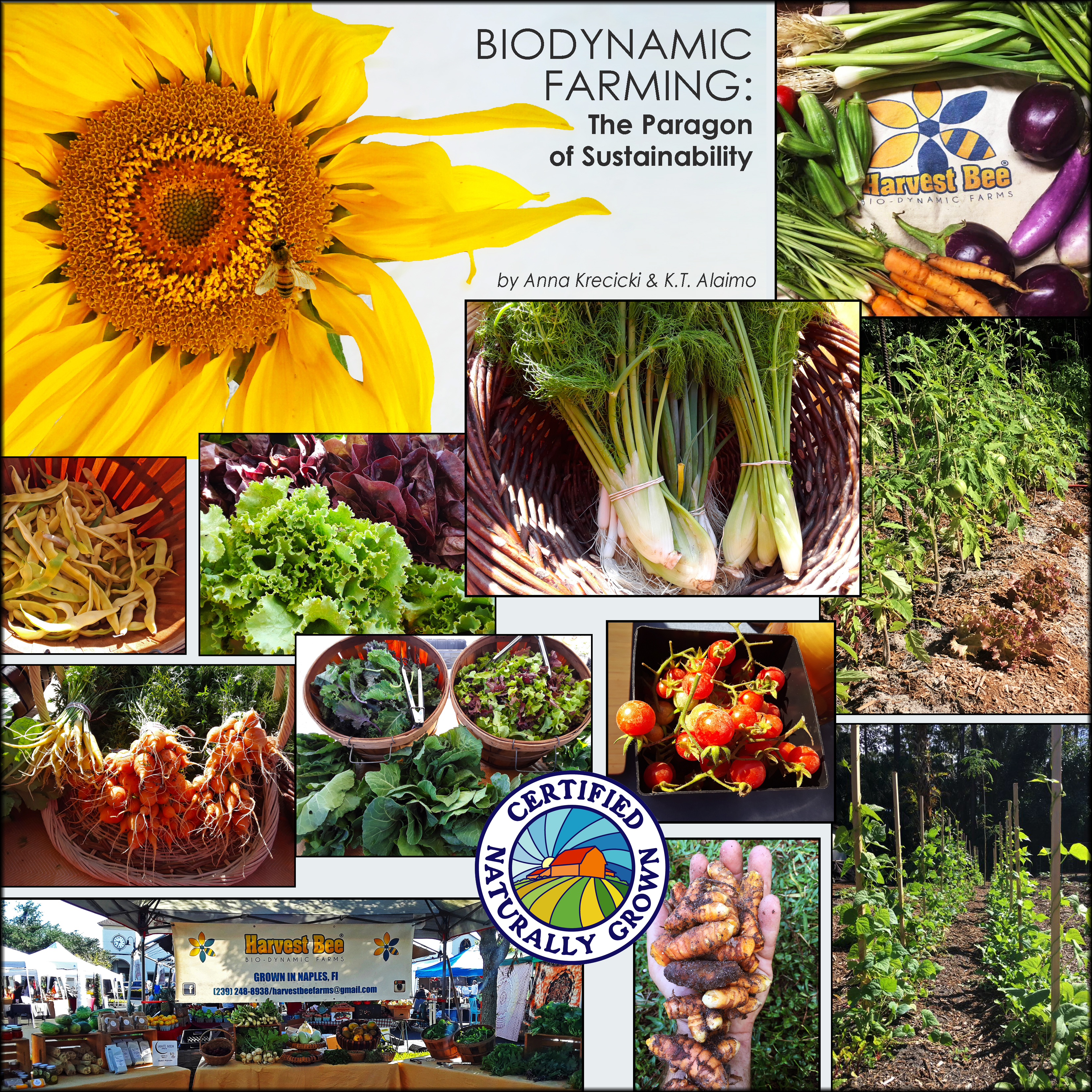 Biodynamic Farming: The Paragon of Sustainability